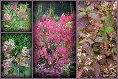 Octobre au jardin...