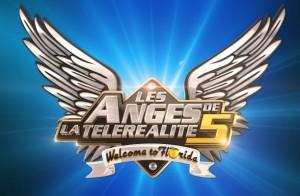 les anges 5 welcome to florida