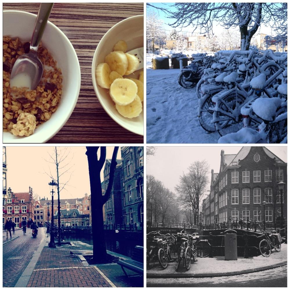 Image and video hosting by TinyPic