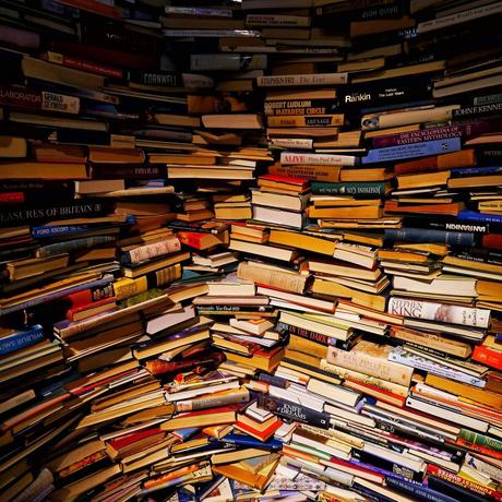 La vente des livres en librairies : Une réalité souvent difficile…