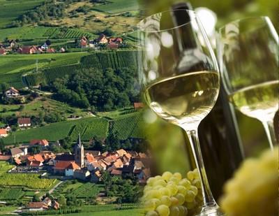 Les principaux vins d'Alsace !