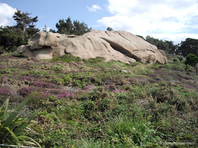 PLOUMANAC'H(22)-Vers le Phare