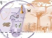 ChessSolidarity monte scène pour Mada