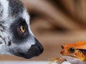 Sourires Soleil, dimanche comme aime...