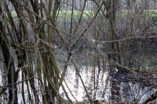 3 romi 16 fév 2013 088.jpg