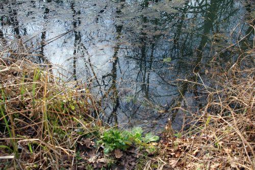 5 romi 16 fév 2013 091.jpg