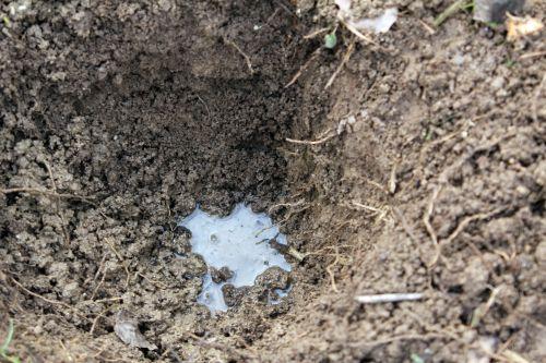 7 romi 16 fév 2013 101.jpg