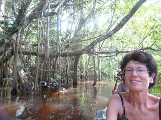 Pérégrinations amazoniennes (1) : de Tarapoto à Lagunas (ou Liliane dans les lianes)