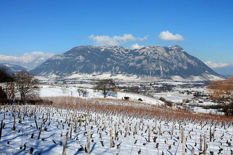 Panorama depuis le Palud