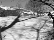 incursion Chartreuse