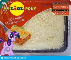 My-lidl-pony-lasagne