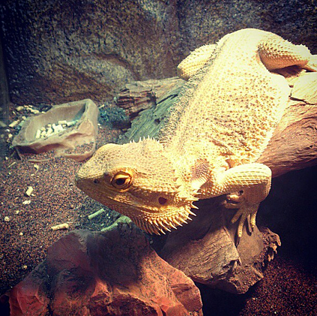 Ma semaine en photos #17 7-copie-2.png