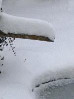 MINIMAL MANIAC #3 MINIMAL MANIAC #3