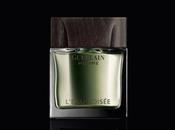 Voyage autour d’un vétiver