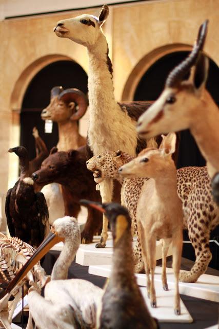 8,5 km pour 3h de marche et 450 calories