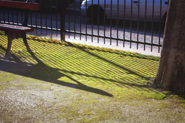 8,5 km pour 3h de marche et 450 calories