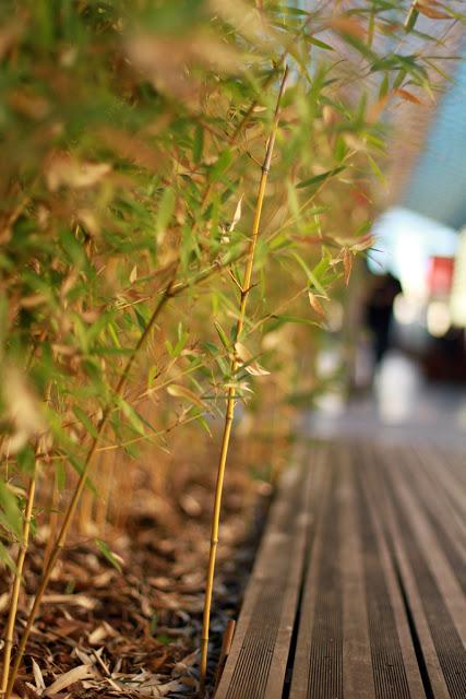 8,5 km pour 3h de marche et 450 calories