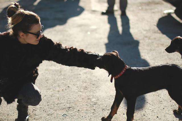 8,5 km pour 3h de marche et 450 calories