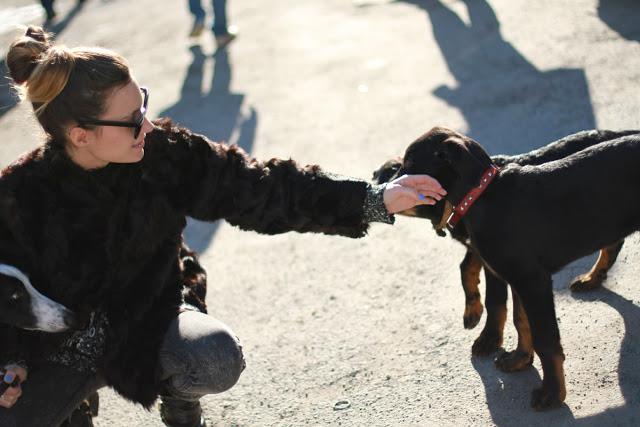 8,5 km pour 3h de marche et 450 calories