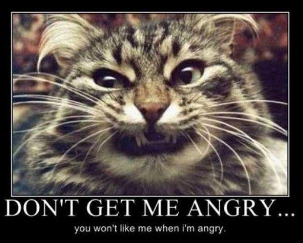 Demotivational-pictures-dont_Get_Me_Angry