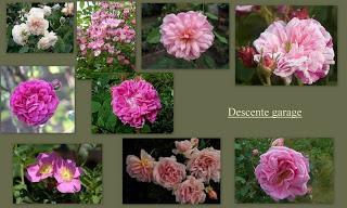 C'est grave Docteur ??