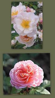 C'est grave Docteur ??