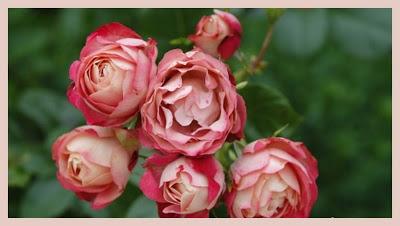 C'est grave Docteur ??