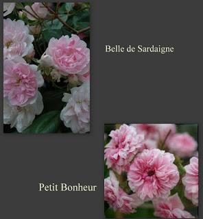 C'est grave Docteur ??