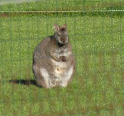 toujours en Normandie