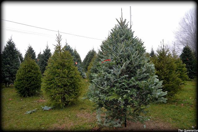 Préparer Noël à la New-Yorkaise