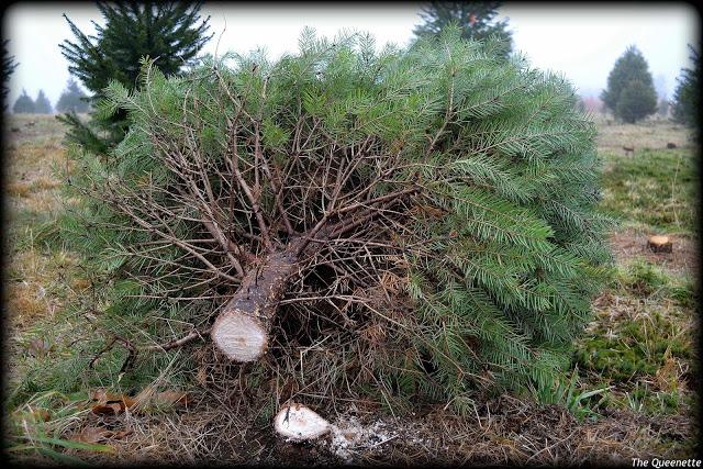 Préparer Noël à la New-Yorkaise