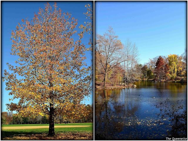 Les jolies couleurs d'automne de Central Park