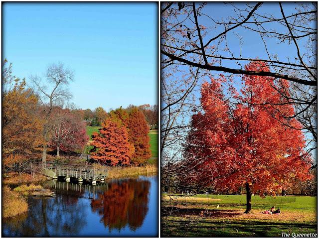 Les jolies couleurs d'automne de Central Park