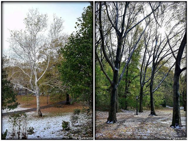 Quand l’hiver piétine l’automne à New York