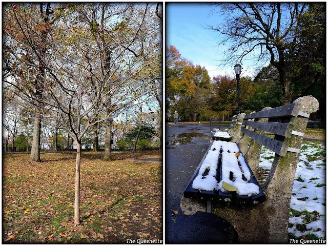 Quand l’hiver piétine l’automne à New York