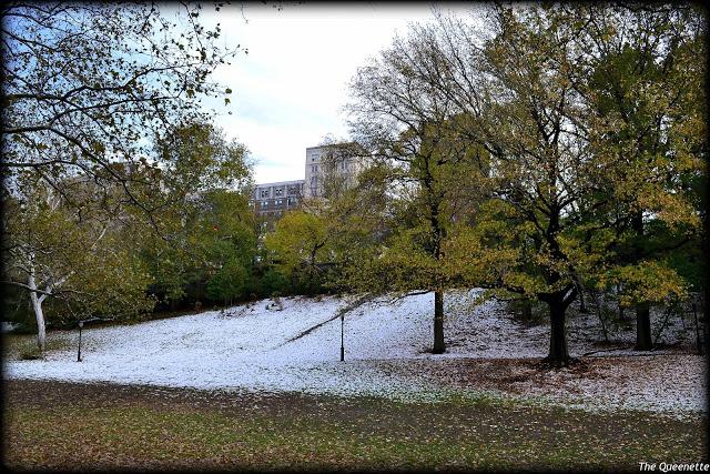 Quand l’hiver piétine l’automne à New York