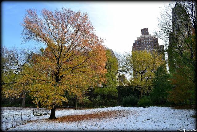 Quand l’hiver piétine l’automne à New York