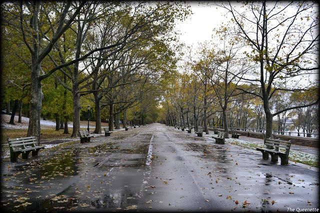 Quand l’hiver piétine l’automne à New York