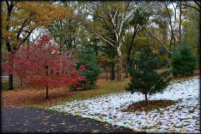 Quand l’hiver piétine l’automne à New York
