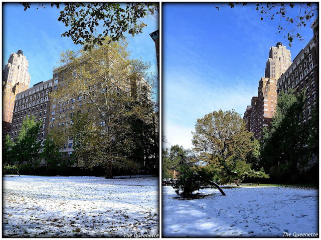 Quand l’hiver piétine l’automne à New York