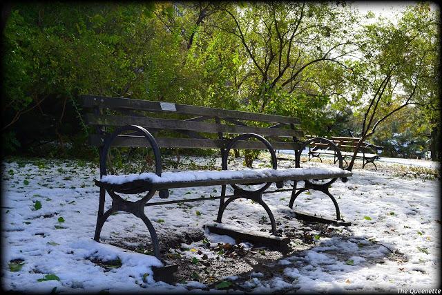 Quand l’hiver piétine l’automne à New York