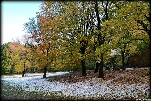 Quand l’hiver piétine l’automne à New York