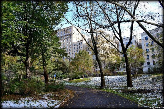 Quand l’hiver piétine l’automne à New York