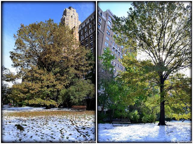 Quand l’hiver piétine l’automne à New York