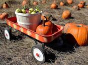Cueillette pommes citrouilles Westchester,