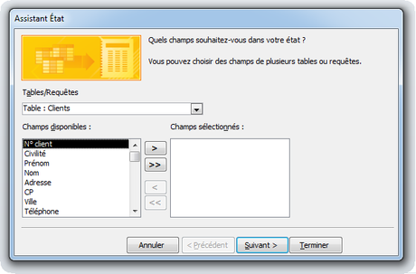Assistant état choix des champs