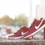 nike-sb-dunk-low-burgundy-brown-white-4