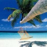 Voyager en circuit organisé