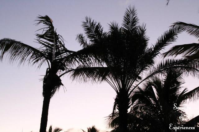 Boulettes de boeuf à la Japonaise!