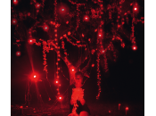 LikeLikeLike Sophie Hunger